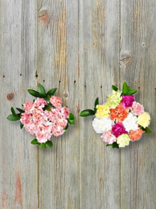 ADORING MOM CARNATION BOUQUET - TWO LOOKS PER CASE